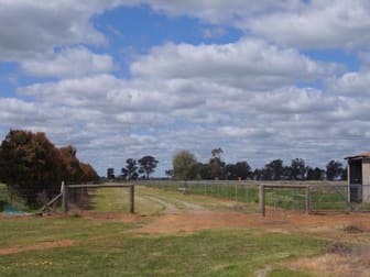 Donaldson Rd Finley NSW 2713 - Image 1