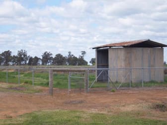 Donaldson Rd Finley NSW 2713 - Image 2