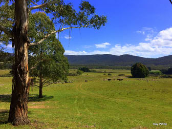 464 Wyanbene Rd Wyanbene NSW 2622 - Image 1