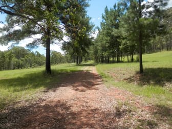 Click to view all images North Ewingar Rd Ewingar NSW 2469 - Image 3