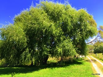 Click to view all images 20 Narranghi Road Braidwood NSW 2622 - Image 3