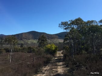 1315 Cooma Road Braidwood NSW 2622 - Image 1