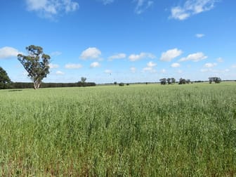 Warriston West Pine View Road Dubbo NSW 2830 - Image 1