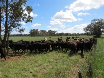 Warriston West Pine View Road Dubbo NSW 2830 - Image 3
