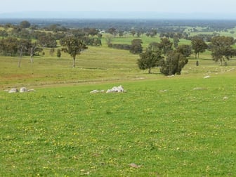 116 Moores Bridge Road Springhurst VIC 3682 - Image 1