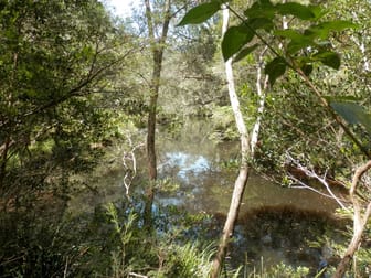 Click to view all images 336 Sugarbag Rd Drake NSW 2469 - Image 3