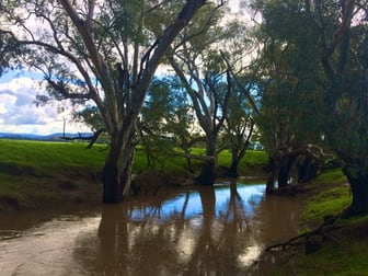 Lachlan Valley Way Cowra NSW 2794 - Image 2