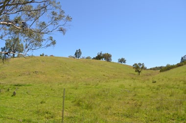 Bora Bora Link Road Dinoga NSW 2404 - Image 1