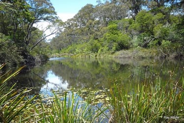 535 Northangera Braidwood NSW 2622 - Image 3