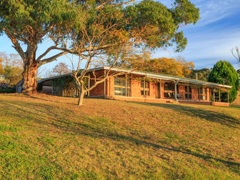 502 Mount View Road Mount View NSW 2325 - Image 2