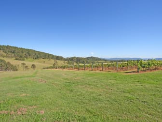 87 Camp Road Lovedale NSW 2325 - Image 2