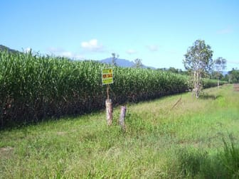 Copleys Road Abergowrie QLD 4850 - Image 1