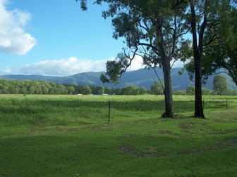 133 East Mary Road Mount Carbine QLD 4871 - Image 1