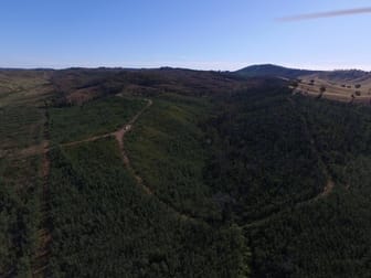 4494 Tumbarumba Road Humula NSW 2652 - Image 1