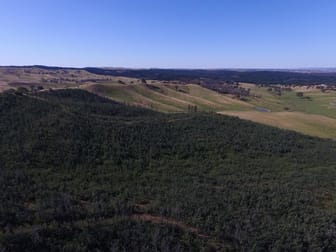 4494 Tumbarumba Road Humula NSW 2652 - Image 3