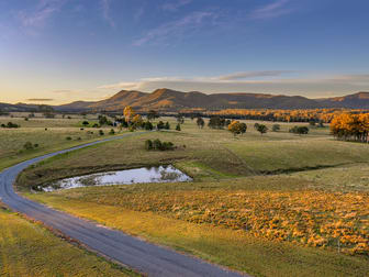 209 Stanhope Road Elderslie NSW 2335 - Image 2