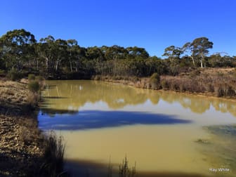 34 Farringdon Braidwood NSW 2622 - Image 3