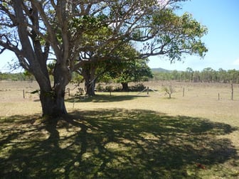 226 Coorooman Creek Road Cawarral QLD 4702 - Image 2