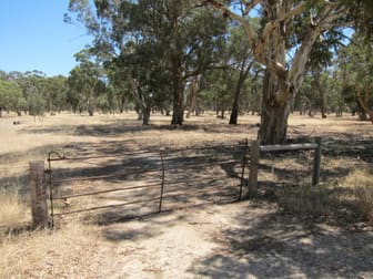 Sec 2994 Research Road Nuriootpa SA 5355 - Image 2