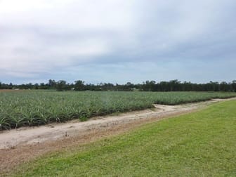 95 Anderson Road Glass House Mountains QLD 4518 - Image 2