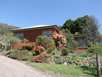Lake Canobolas Road Orange NSW 2800 - Image 3