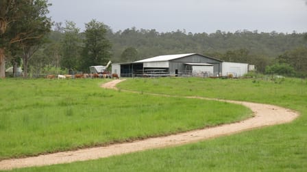 1668 Plains Station Rd Tabulam NSW 2469 - Image 2