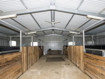 71 Stoney Creek Road Mudgee NSW 2850 - Image 3