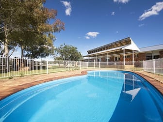243 Castlereagh Highway Mudgee NSW 2850 - Image 3
