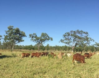 Lot 197 Fourth Street Forsayth QLD 4871 - Image 1