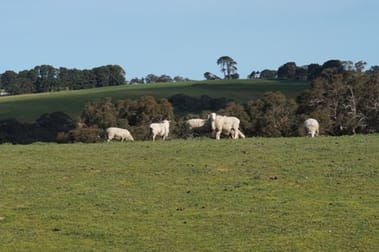 Click to view all images 3510 Victor Harbor Road Mount Jagged SA 5211 - Image 2