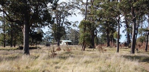 Cunnawarra Trail Ebor NSW 2453 - Image 3