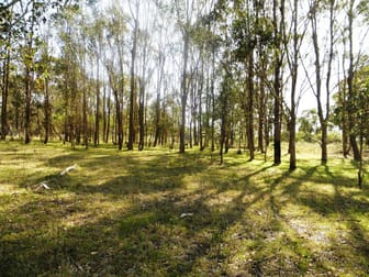 Lot 25 Ironbark Lane Nulkaba NSW 2325 - Image 1