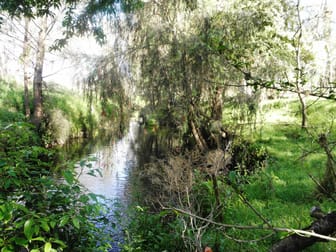 Lot 25 Ironbark Lane Nulkaba NSW 2325 - Image 2