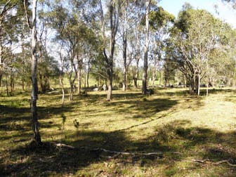 Lot 25 Ironbark Lane Nulkaba NSW 2325 - Image 3