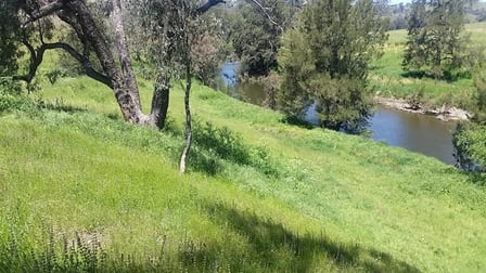 621 NAROOGAL ROAD Bakers Swamp NSW 2820 - Image 3