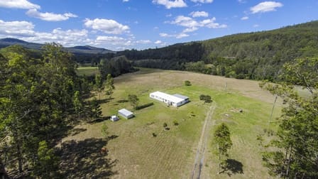2917 Armidale Road Blaxlands Creek NSW 2460 - Image 1