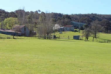 667 Ullamalla Road Tambaroora NSW 2850 - Image 1