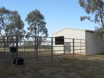 3489 Moppity Road Young NSW 2594 - Image 2