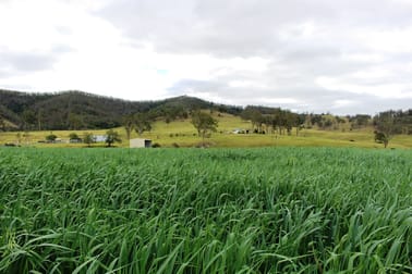 Gloucester NSW 2422 - Image 1