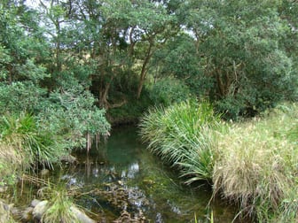 Click to view all images Lot 2 Belbora Creek Road, Belbora Gloucester NSW 2422 - Image 1