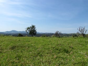 Click to view all images 782 Bunyah Road, Bulby Brush Bunyah NSW 2429 - Image 3