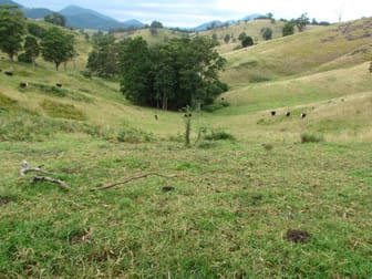 Gloucester NSW 2422 - Image 2