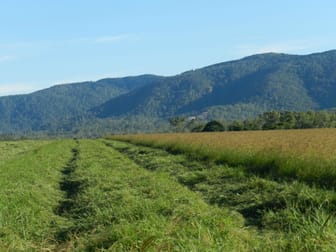 Atherton QLD 4883 - Image 3
