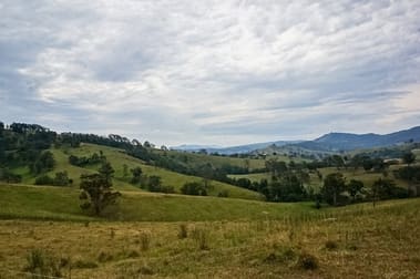 1640 Paterson River Road Gresford NSW 2311 - Image 2
