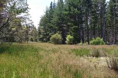 Lot 4070 Brockman Highway Karridale WA 6288 - Image 2