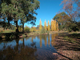 325 Howqua River Road Howqua VIC 3723 - Image 2
