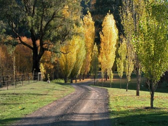 325 Howqua River Road Howqua VIC 3723 - Image 3