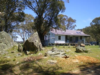 45 Higgins Road Nimmitabel NSW 2631 - Image 1