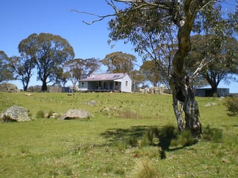 45 Higgins Road Nimmitabel NSW 2631 - Image 2