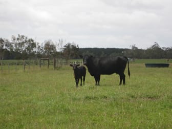 671 Kentbruck Road Heywood VIC 3304 - Image 1